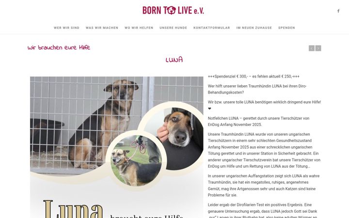Screenshot of born-to-live-tierhilfe.com