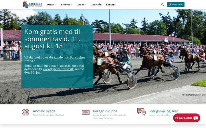 Screenshot of bornbrand.dk