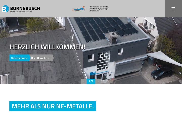 Skjermbilde av bornebusch.de