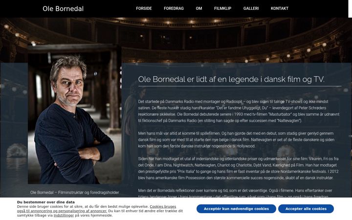 Screenshot of bornedal.dk