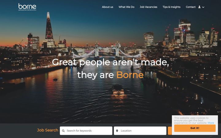Screenshot of borneltd.com