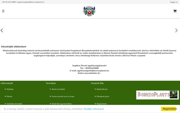 Screenshot di borneoplants.hu