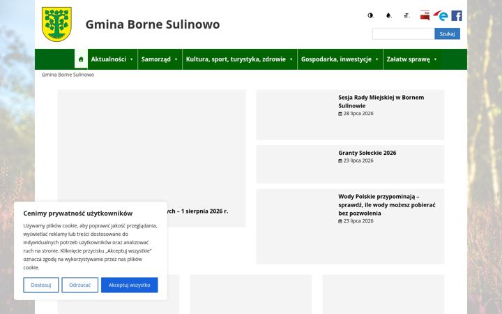 Screenshot of bornesulinowo.pl