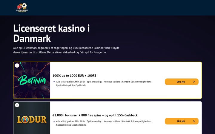 Screenshot of bornholmsefterskole.dk