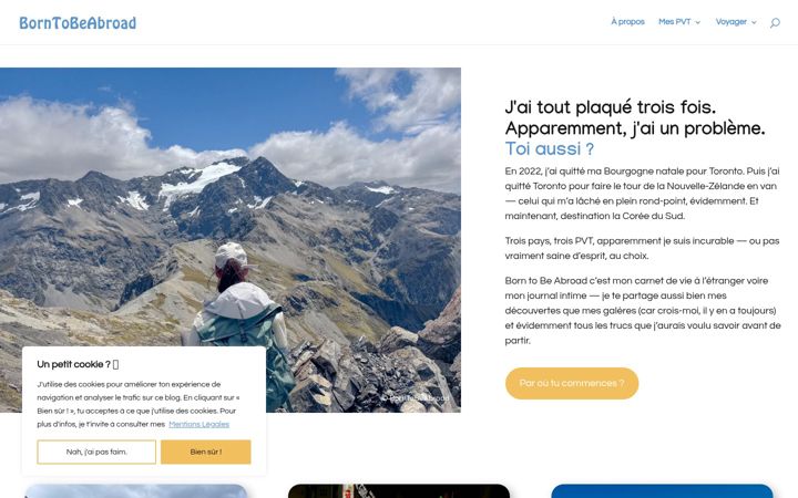 Screenshot of borntobeabroad.com