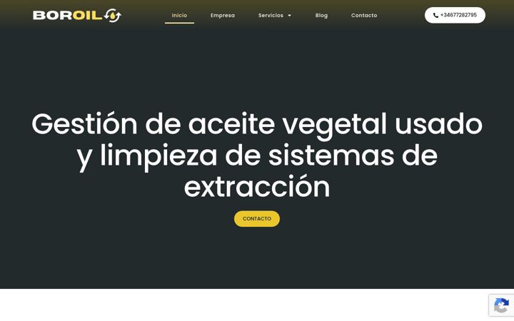 Screenshot of boroil.es