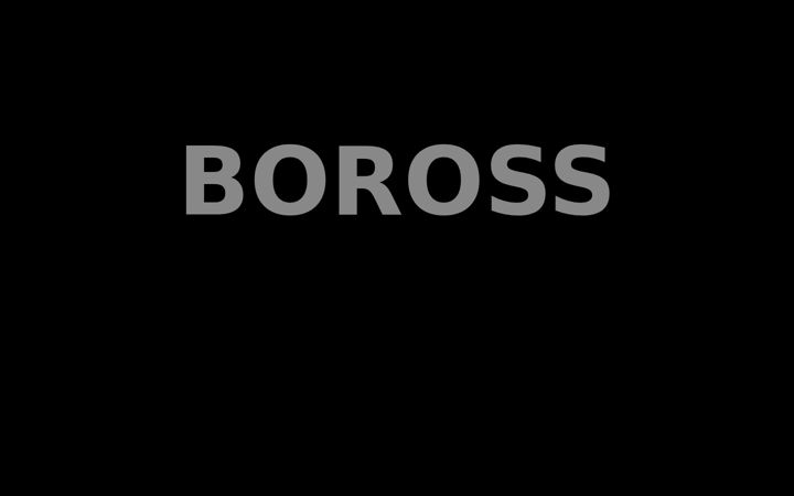 Screenshot of boross.de