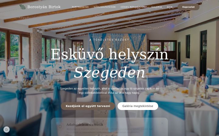 Screenshot of borostyanbirtok.hu