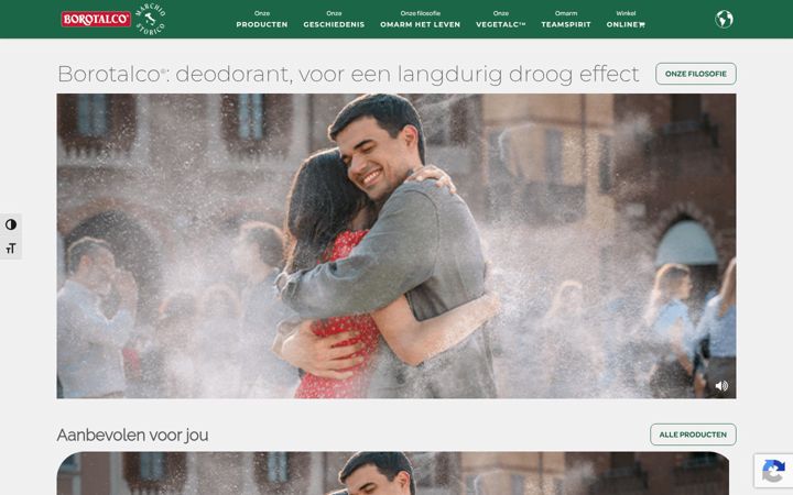 Screenshot of borotalco.nl