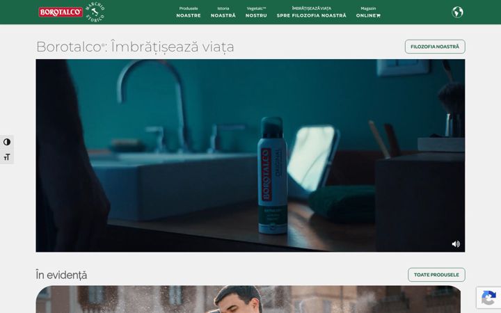 Screenshot of borotalco.ro