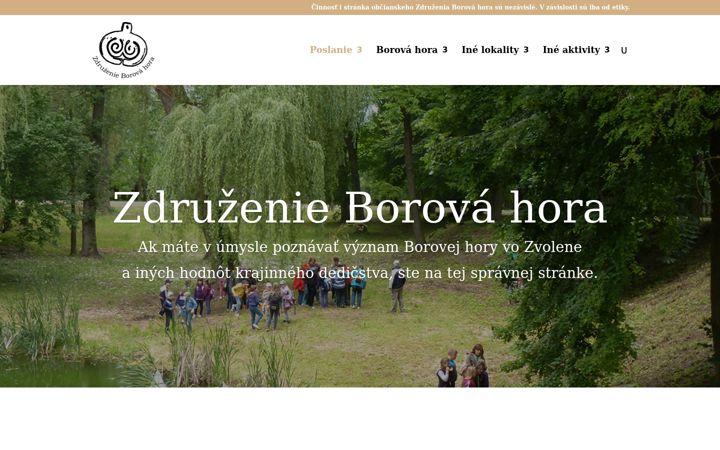 Screenshot of borovahorazvolen.sk