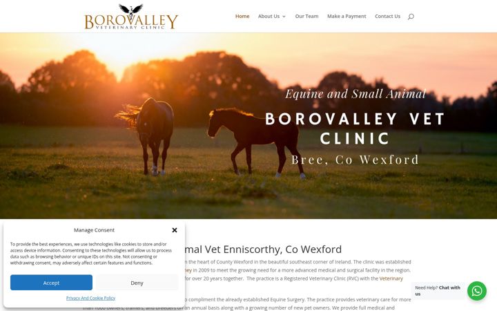 Zrzut ekranu borovalleyvetclinic.ie