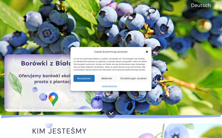 Screenshot of borowkiekologiczne.com