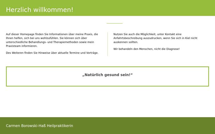 Screenshot of borowski-hass.de