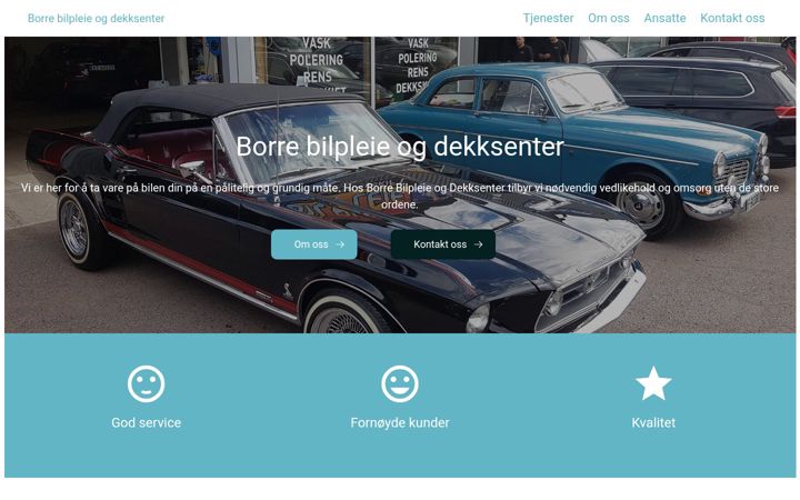 Skærmbillede af borrebilpleieogdekksenter.no