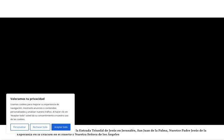 Ekrano kopija borriquitalospalacios.org