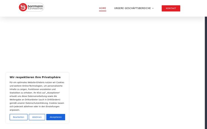 Screenshot of borrmann-professionals.de