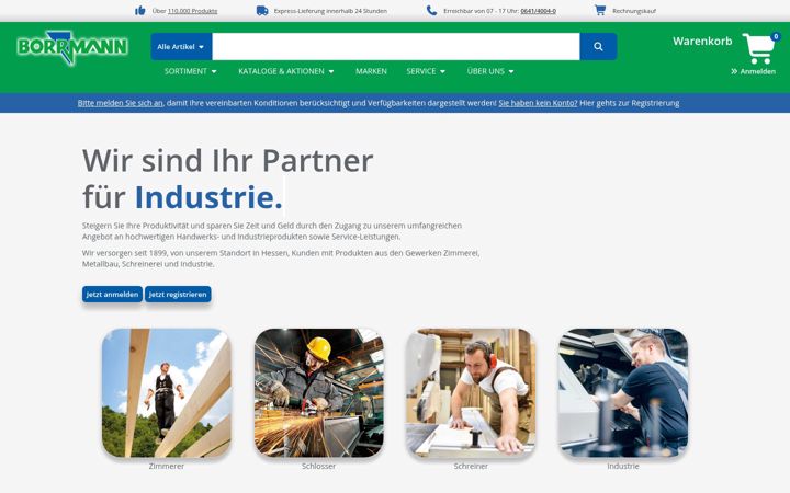 Screenshot of borrmann.de