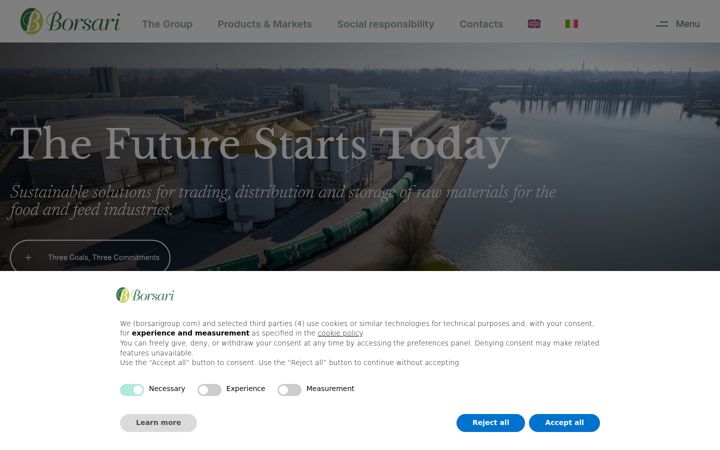 Screenshot of borsarigroup.com