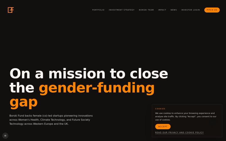 Screenshot of borskifund.com