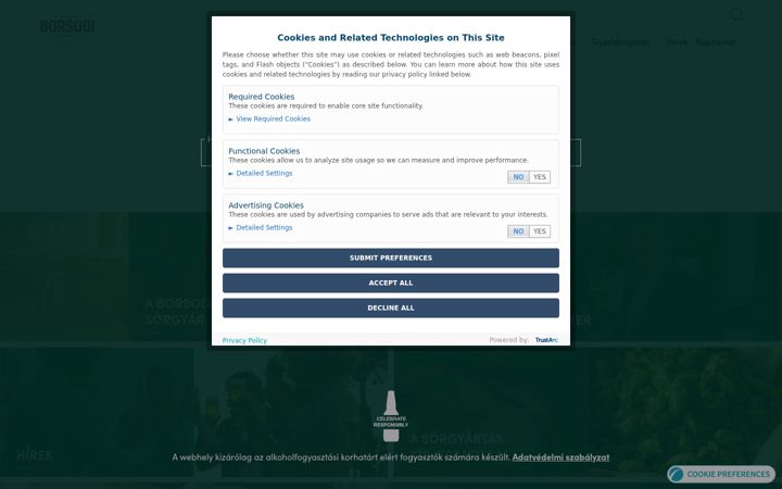 Screenshot of borsodisorgyar.hu