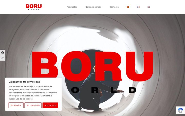 Screenshot of boru.world