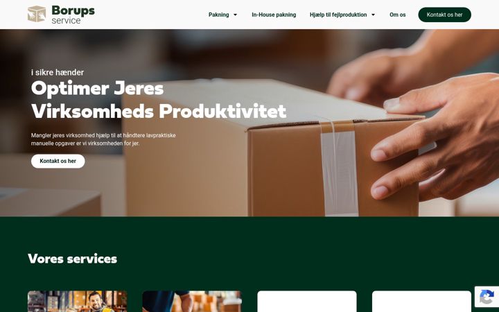 Screenshot of borupspakkeri.dk