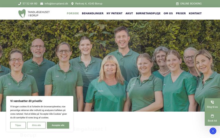 Screenshot of boruptand.dk