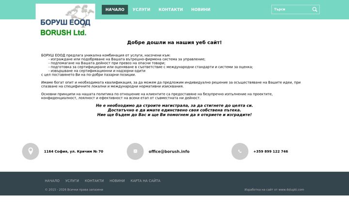 Screenshot of borush.consulting
