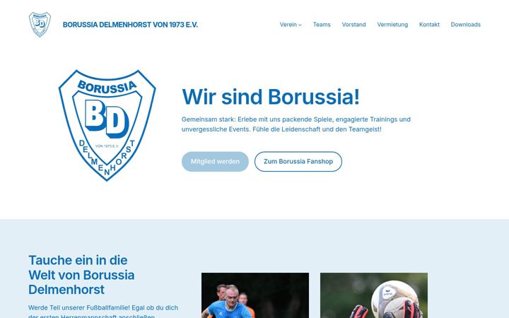Screenshot of borussia-delmenhorst.de