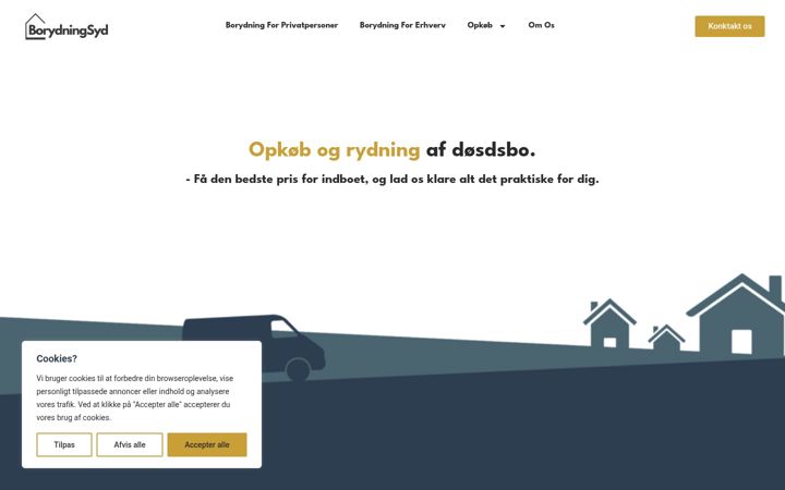 Screenshot of borydningsyd.dk
