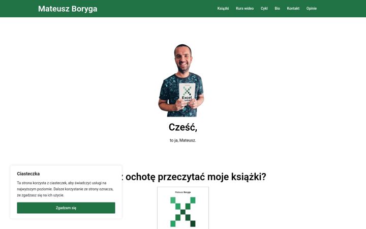 Screenshot of boryga.com