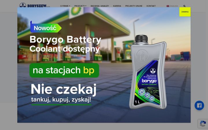 Snímek obrazovky boryszewerg.com.pl