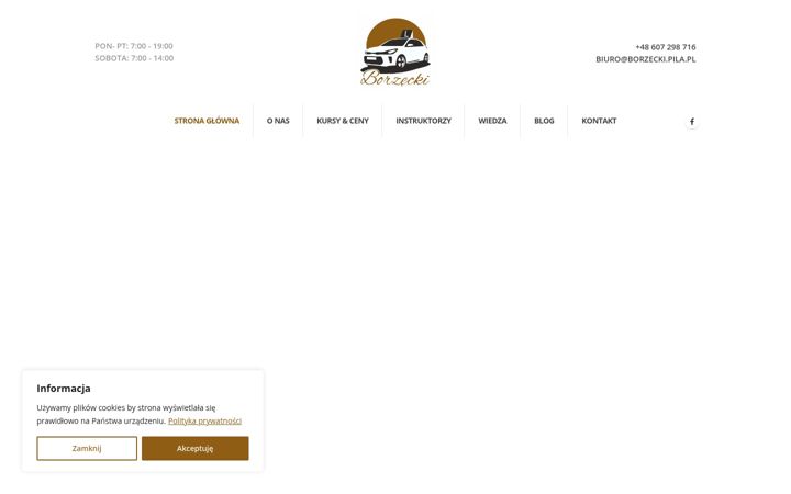 Screenshot of borzecki.pila.pl