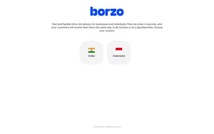 Screenshot of borzodelivery.com