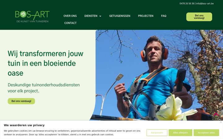 Screenshot of bos-art.be