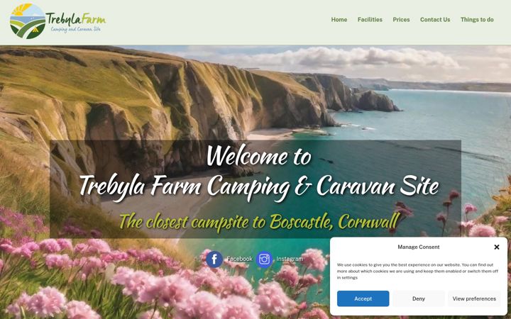 Screenshot of boscastlecampsite.co.uk