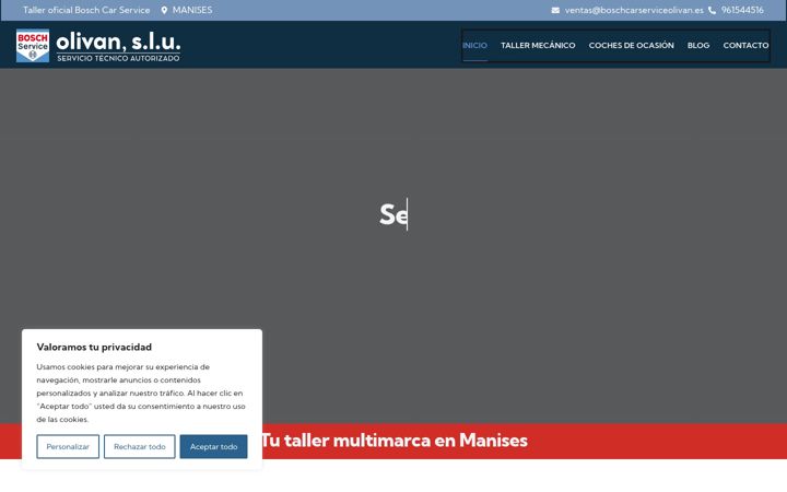 Screenshot stránky boschcarserviceolivan.es