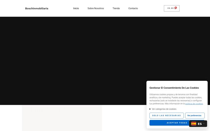 Screenshot of boschinmobiliaria.com