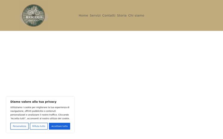 Screenshot of boscolorentbike.it