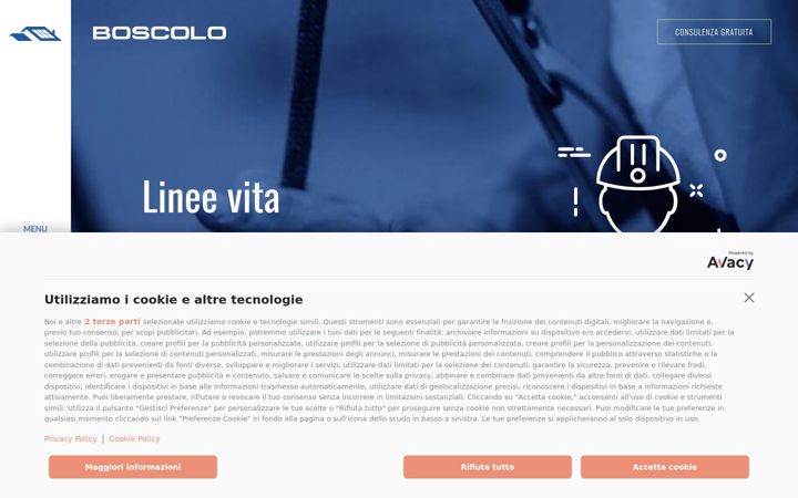 Screenshot of boscolosrl.com
