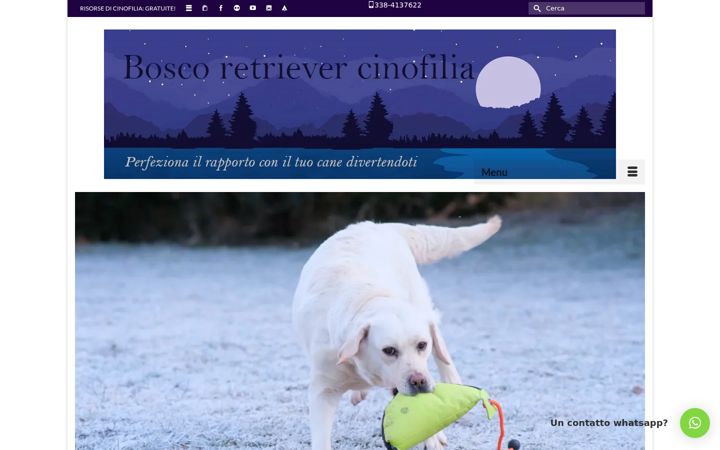 Screenshot of boscoretriever.it