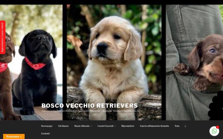 Screenshot of boscovecchio.com