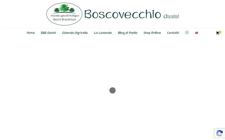 Zrzut ekranu boscovecchioassisi.it