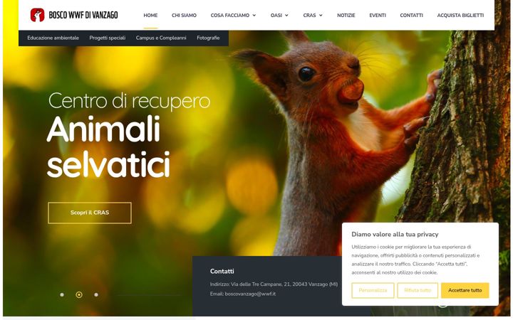 Screenshot of boscowwfdivanzago.it