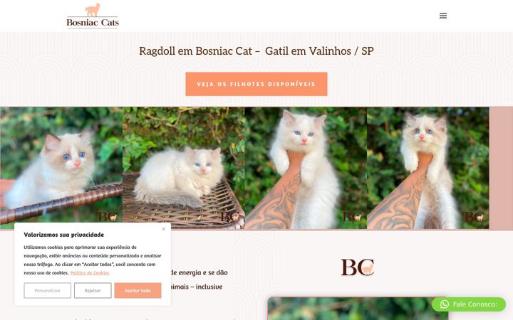 Screenshot of bosniacat.com.br