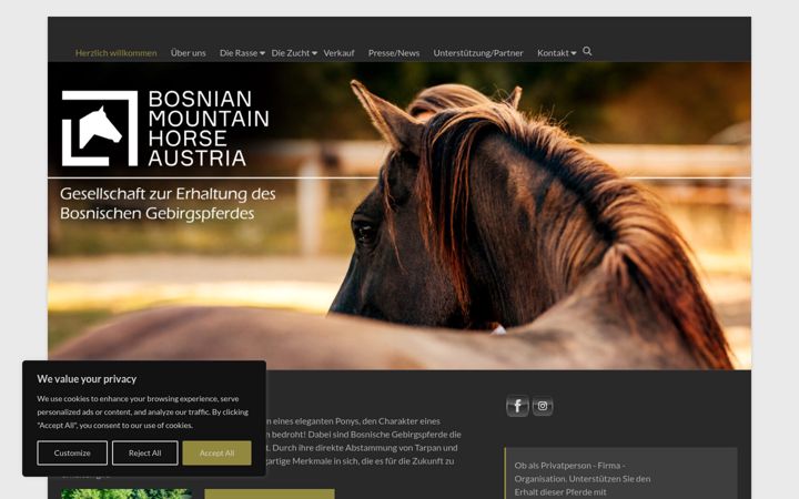 Screenshot of bosnianmountainhorse.at