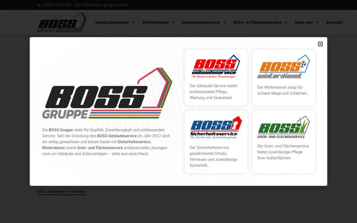 Screenshot of boss-gebaeudeservice.de