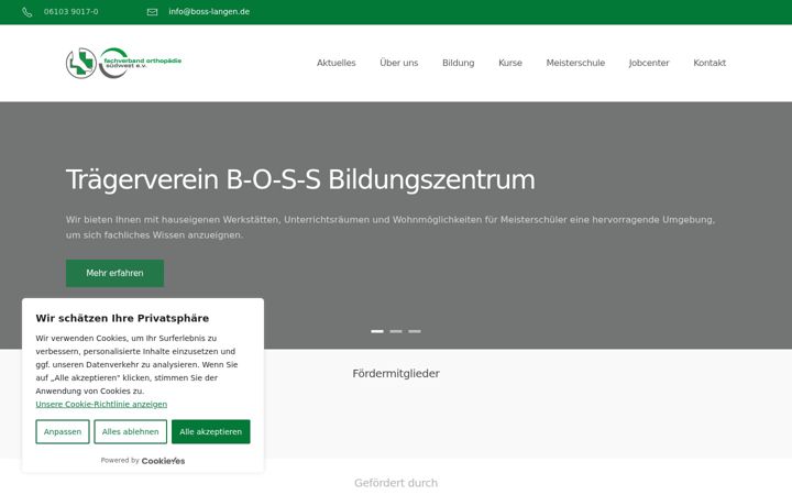 Screenshot of boss-langen.com
