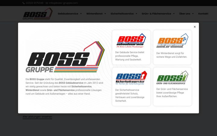 Screenshot of boss-sicherheitsservice.de